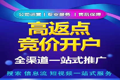 行业领先企业的SEM竞价推广策略揭秘